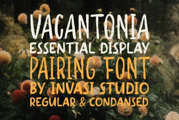 Vacantonia: The Perfect Display Typeface for Your Brand